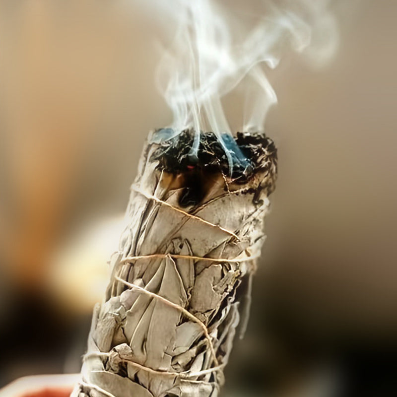 Blue Sage Incense Bouquet 4'' Mimfurn