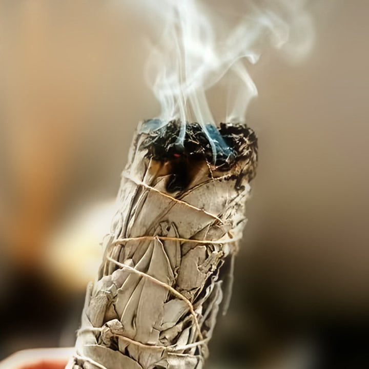 Blue Sage Incense Bouquet 4'' Mimfurn