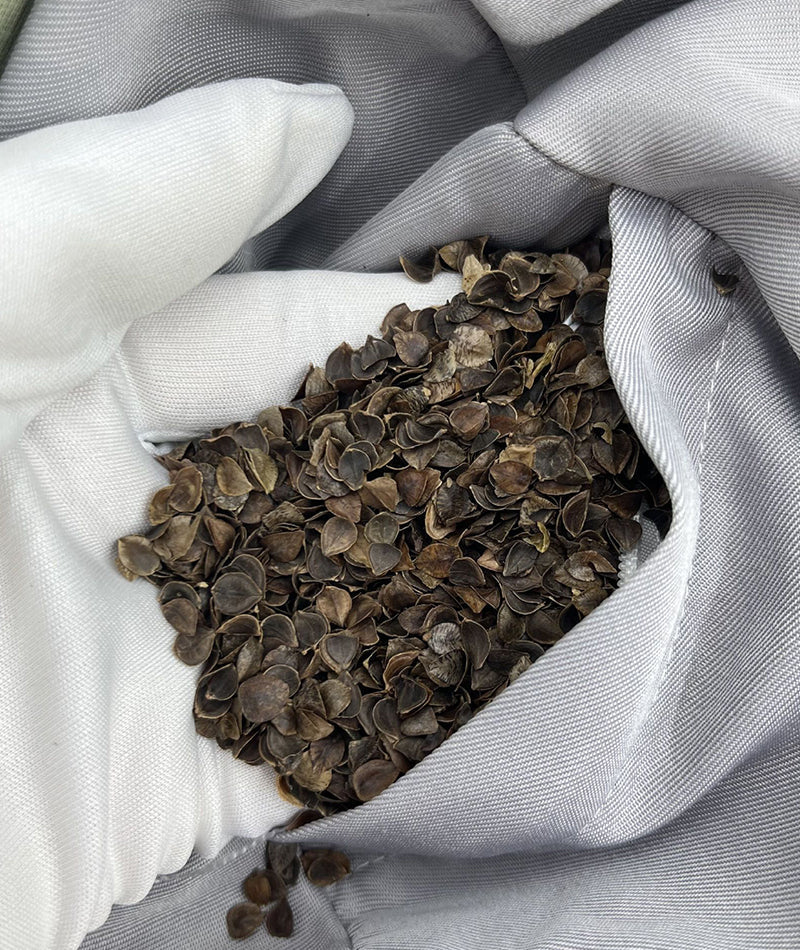 Zafu Yoga Meditation Cushion & Mat Mimfurn